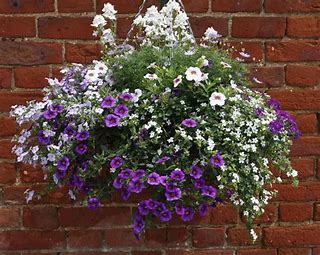 Flower Basket